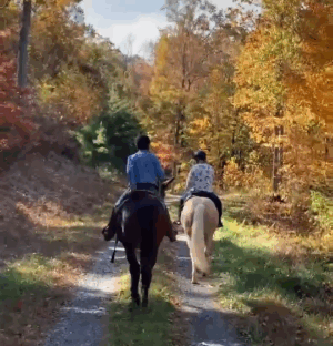 Sunday Trail Ride (does not include brunch)