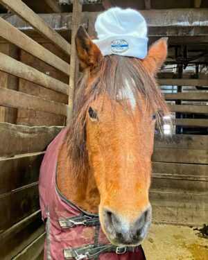 Ride With Pride Winter Beanie Hat