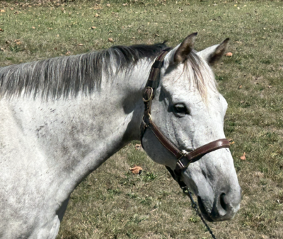 Picture of Cloud