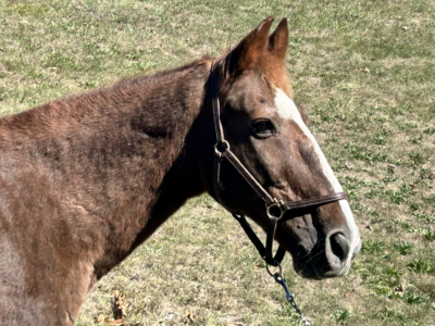 Picture of Rudy